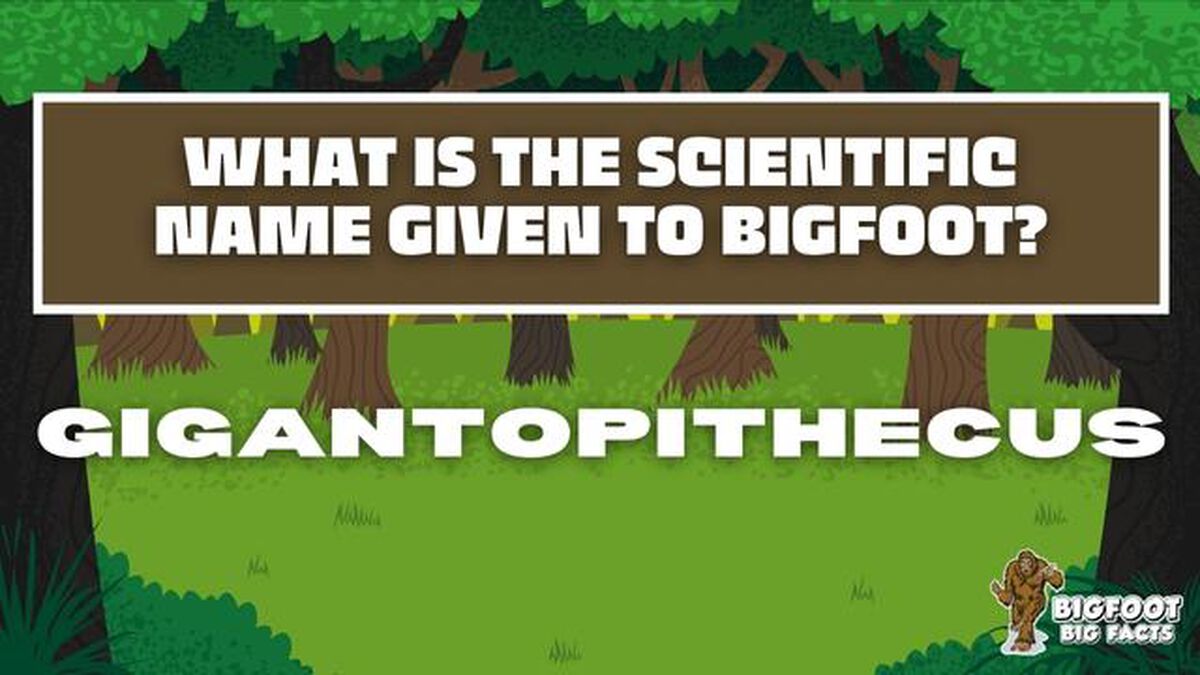 Bigfoot Big Facts image number null